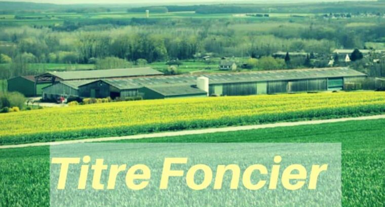 Foncier guinéen : Voici la nouvelle procédure de lotissement (décret)